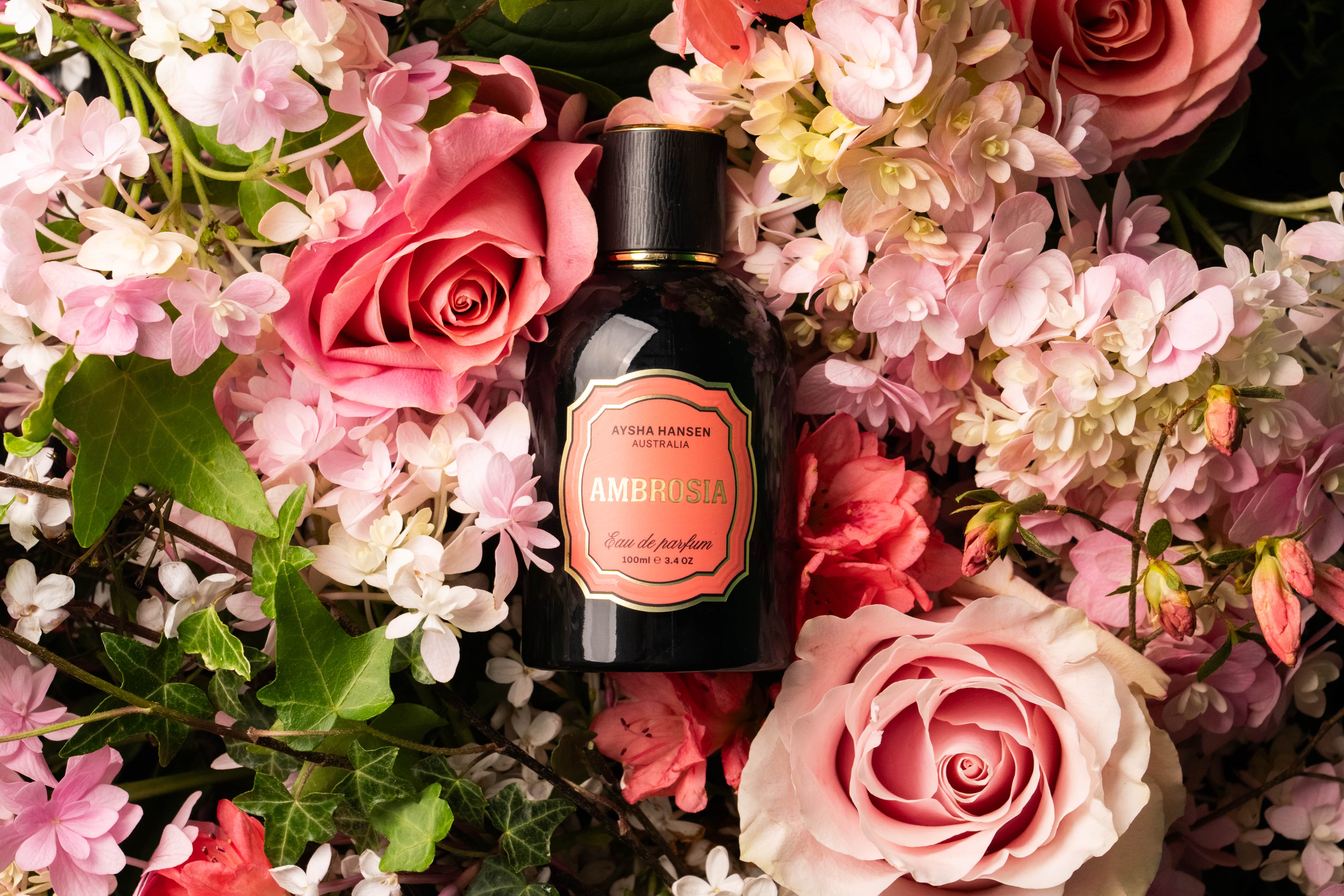 Ambrosia Eau De Parfum – Aysha Hansen Fine Fragrances